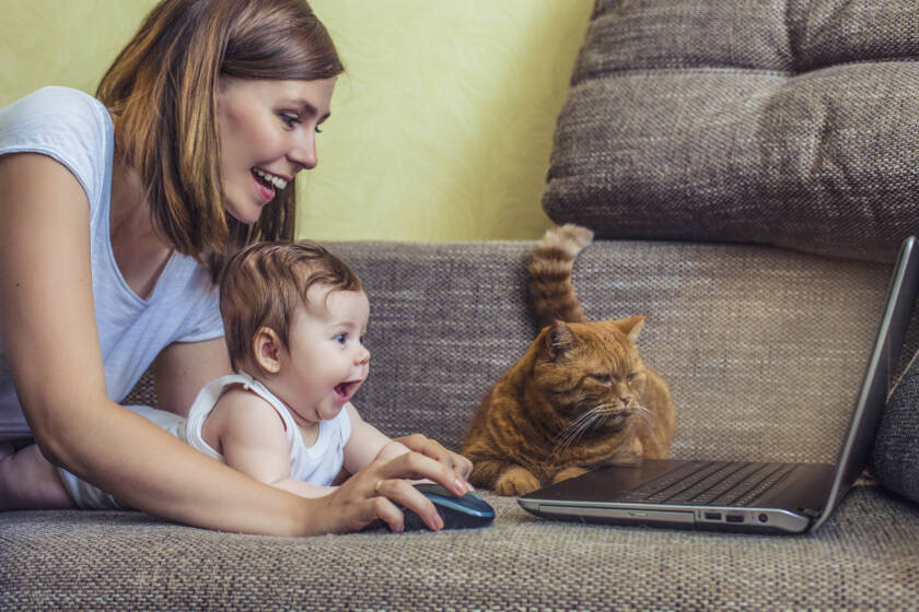 Äiti, vauva ja kissa katselevat läppäriä innostuneina