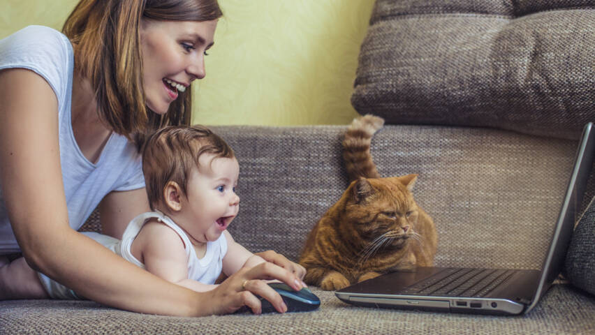Äiti, vauva ja kissa katselevat läppäriä innostuneina