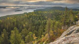 Metsää, järvi ja kallio.