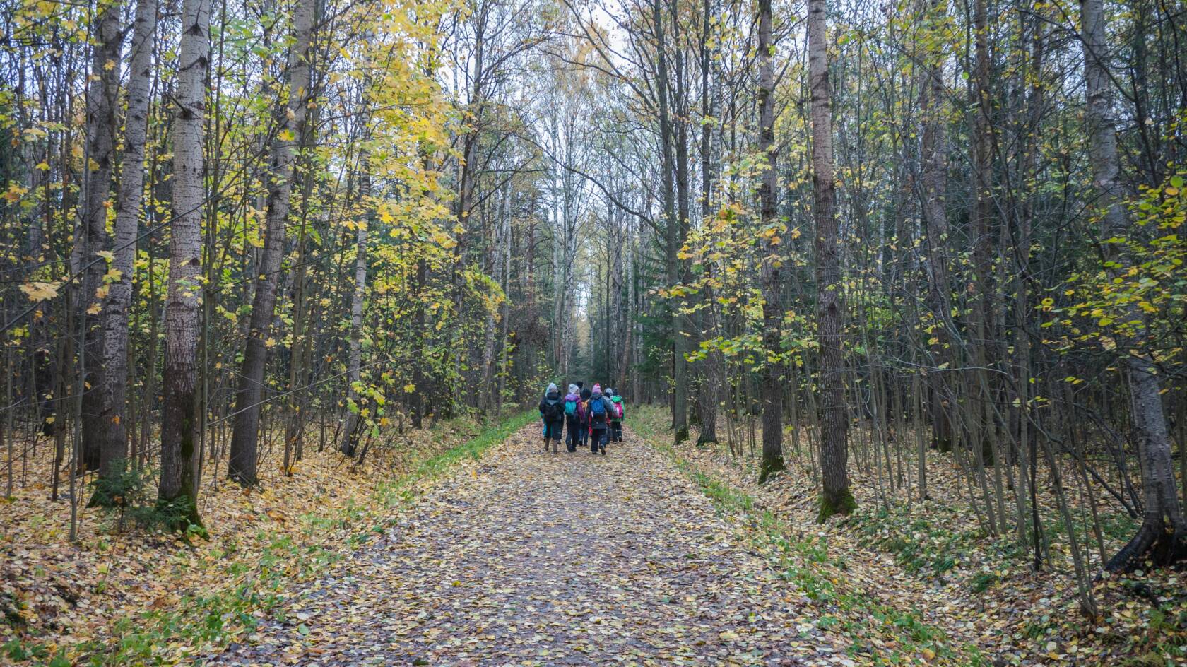 Ihmisryhmä kävelemässä polulla syksyisessä metsässä.