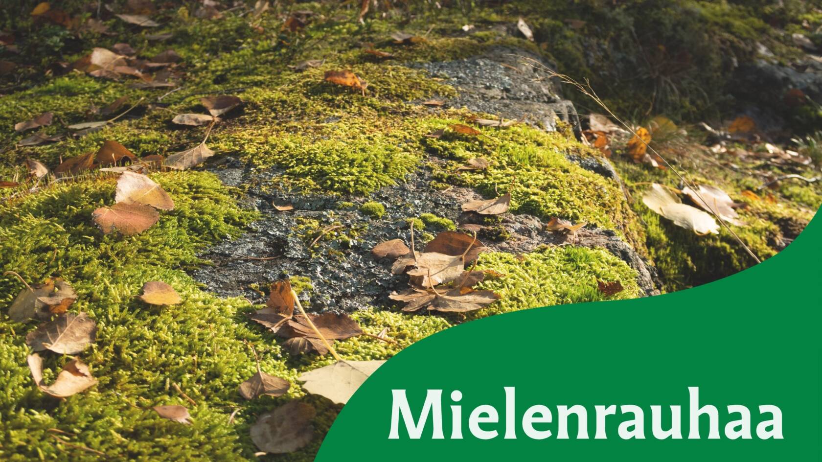 Mielenrauhaa pyhiinvaelluksesta