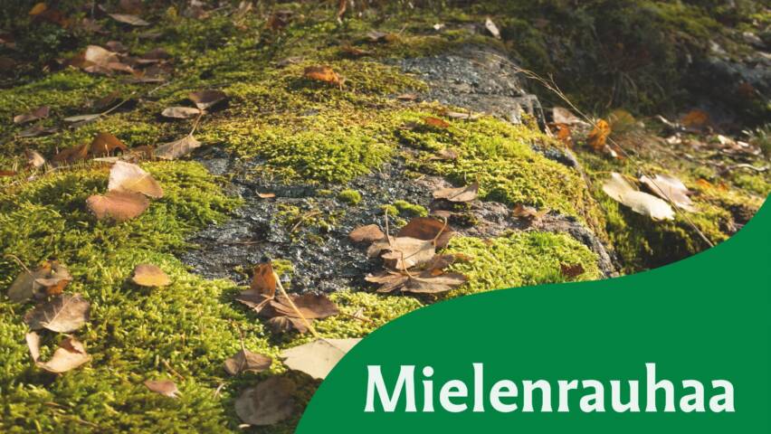 Mielenrauhaa pyhiinvaelluksesta